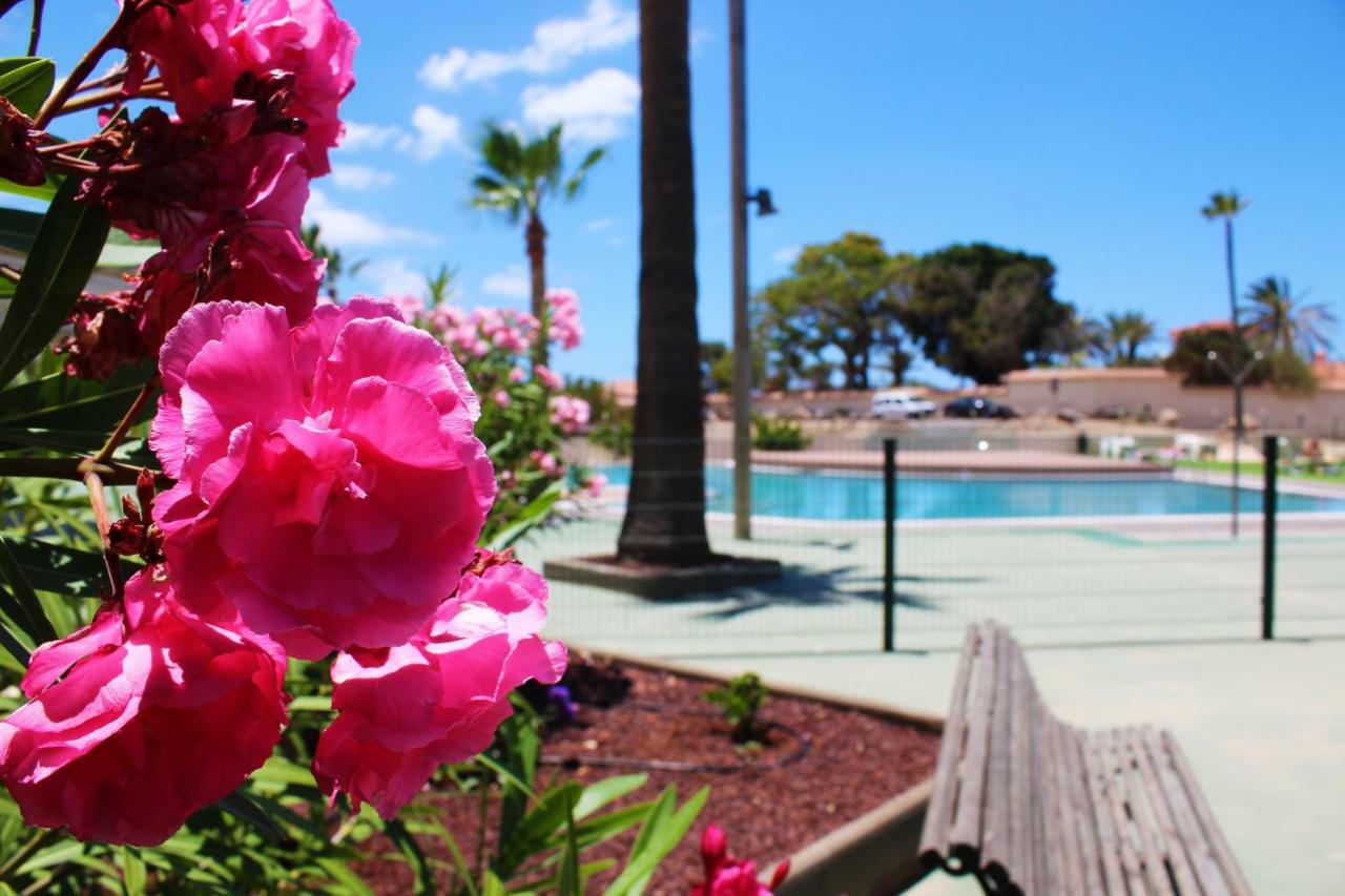 Soleado Apartamento Vistas Al Mar Los Cristianos 洛斯克里斯蒂亚诺斯 外观 照片